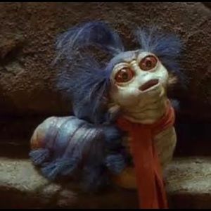 Meet your Posher, Celeste